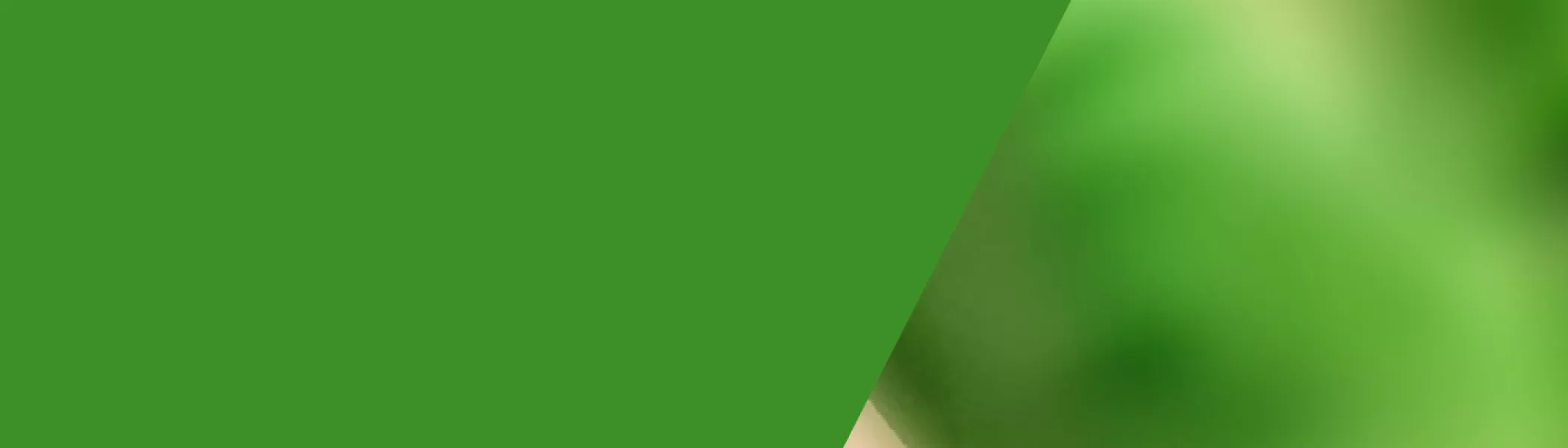FEMC web banner