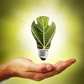 Green Ligh Bulb 370 pixel