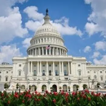 DC Picture