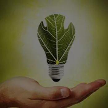 green_light