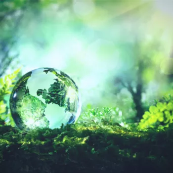 FHE Sustainability 