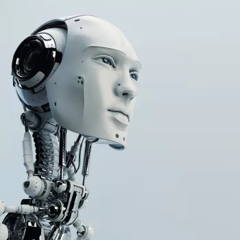 Humanoid Robot