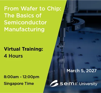 From Wafer to Chip 3/5 Asia