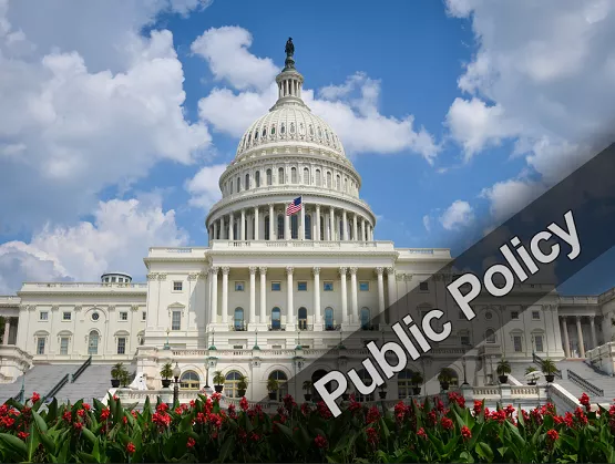 Public Policy