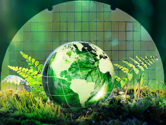 Environment