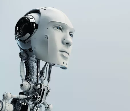 Humanoid Robot